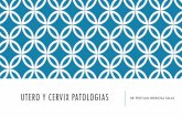 Utero y Cervix Patologias