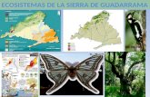 Ecosistemas de La Sierra de Guadarrama