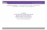C2 COMPETENCIAS EDUCAT..pdf