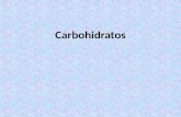 Hidratos de Carbono Clase