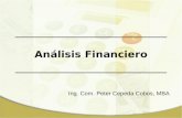 Analisis Financiero 1