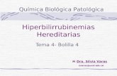 Tema4 Hiperbilirrubinemias Congenitas 2013