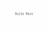 Intervención de Burle Marx en el paseo de.pptx