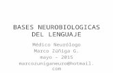 NeuroBiología del Lenguaje Psicolinguistica