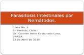 Parasitosis Intestinales Por Nemátodos