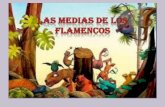 Las Medias de Los Flamencos.