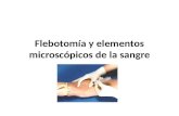 Flebotomía y Elementos Microscópicos de La Sangre