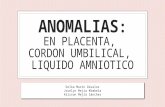 7 ANOMALIAS de La Placenta, Cordón Umbilical y Del Líquido Amniótico