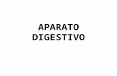 HISTOLOGIA DEL APARATO DIGESTIVO-Medicina humana