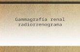 Gammagrafía Renal Radiorrenograma