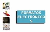 Erminia Formatos Electronicos