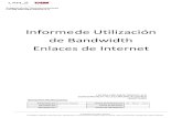 Informe de Utilización de Bandwidth Enlaces de Internet.pdf
