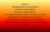 Metabolismo de Purinas y Pirimidinas-2012 (1)