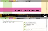Informe y presentacion tecnica del Gas Natural