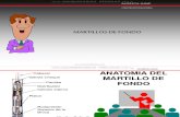 Curso-Anatomia-Martillos-Fondo -Perforadoras