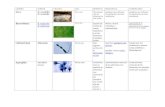 Microbiología, microorganismos, clasificación