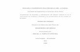explotacion sepiolita y expectativa arcillas ecuador.pdf