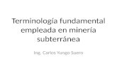 Terminología Fundamental Empleada en Minería Subterranea