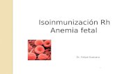 Isoinmunizacion Clase 2013