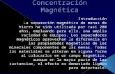 Concentracion Magnetica