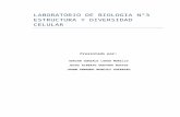 LABORATORIO DE BIOLOGIA N°3 ESTRUCTURA Y DIVERSIDAD CELULAR