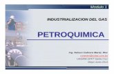 2013 Mod1 04E Industralizacion Petroquimica