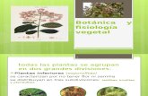 Botánica y fisiología vegetal.pptx