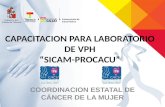 Capacitacion de Laboratorio de Vph en Sicam-procacu