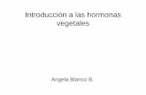 Introduccion a Las Hormonas Vegetales