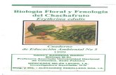 Biología Floral y Fenología Del Chachafruto