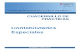 Cuadernillo-Contabilidades especiales