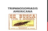 Tripanosomiasis Americana