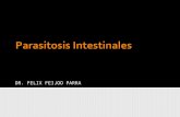 Clase 3.- Parasitosis Intestinales