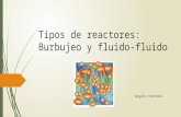 Reactores Burbuja y Fluido-fluido