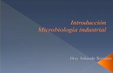 Intro Ducci on Micro Industrial