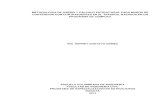 METODOLOGIA DE DISEÑO Y CÁLCULO ESTRUCTURAL PARA MUROS DE CONTENCION CON CONTRAFUERTES- PROGRAMA .pdf