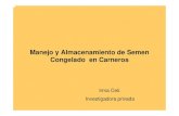 I Celi-Manejo del Semen congelado de carneros.pdf