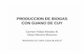 Producción de Biogas