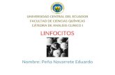 Linfocitos Y Tapón Hemostásico Primario- Peña Eduardo