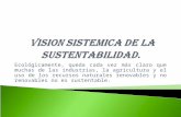 Vision Sistemica de La Sustentaabilidad