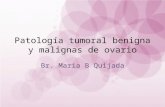 Patología Tumoral Benigna y Malignas de Ovario