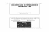 1 Monitoreo Evaluacion de Insectos
