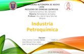 Industria Petroquímica y sus formas de contaminación .