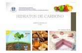 2014-Hidratos de Carbono