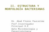 Estructura y Morfología Bacterianas
