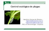Control Ecologico de Plagas