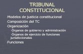 Tribunal Constitucion Al PDF
