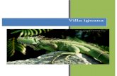Guía de Cuidados de la Iguana Verde