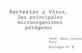 Bacterias y Virus