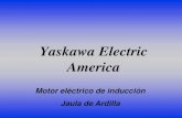 Principios de Motor Electrico de Induccion.pdf